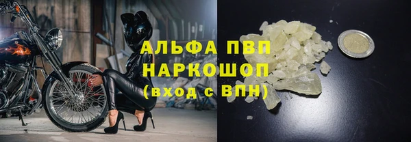 гидра Дмитриев