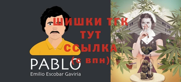 гидра Дмитриев