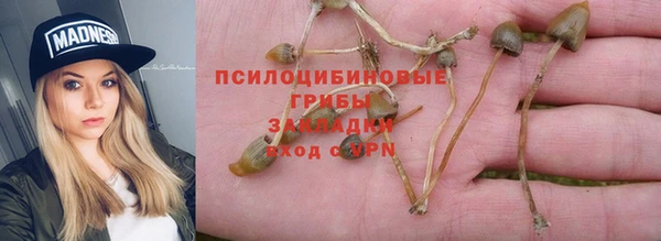 гидропоника Дмитров