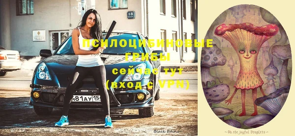 ALPHA PVP Дмитровск