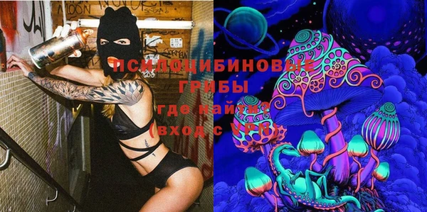 гидра Дмитриев