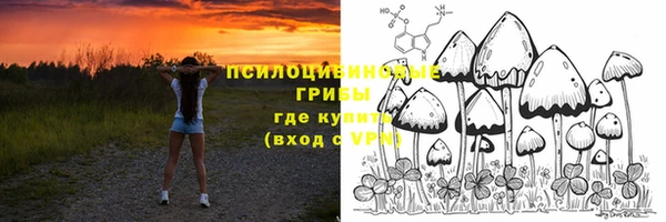 гидра Дмитриев