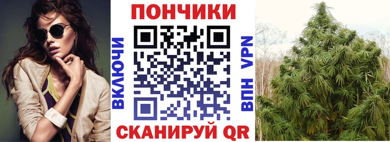 Купить  Урай  Канабис Amnesia 